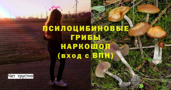 таблы Покачи