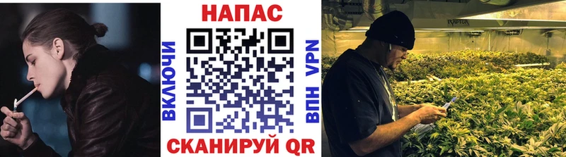Канабис ГИДРОПОН  Поворино 